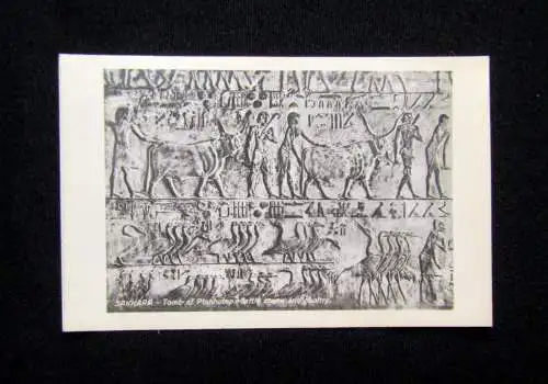 10 Karten, Postkarten in Original-Hülle "Lehnert & Landrock" Memphis und Sakkara