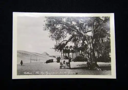 10 Karten, Postkarten in Original-Hülle "Lehnert & Landrock" Memphis und Sakkara