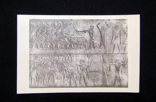 10 Karten, Postkarten in Original-Hülle "Lehnert & Landrock" Memphis und Sakkara