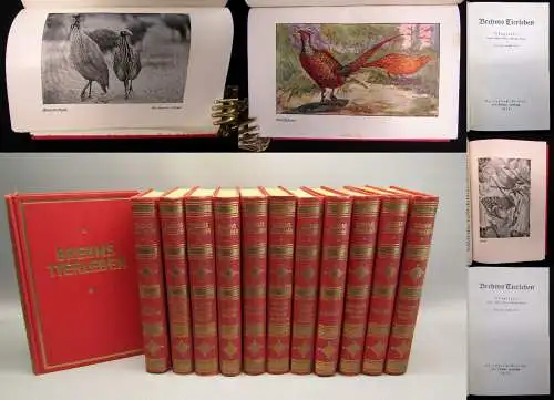 Hagen; Evers Brehms Tierleben 12 Bde 1928 Naturwissenschaften Biologie Tiere