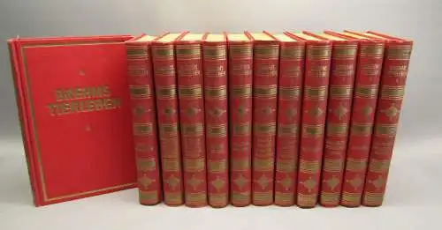 Hagen; Evers Brehms Tierleben 12 Bde 1928 Naturwissenschaften Biologie Tiere