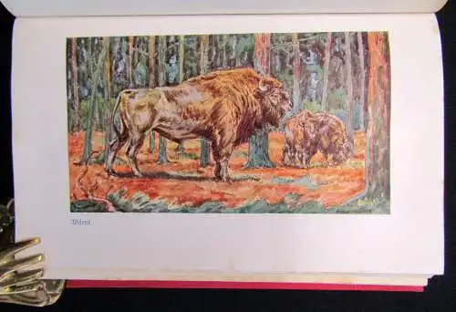 Hagen; Evers Brehms Tierleben 12 Bde 1928 Naturwissenschaften Biologie Tiere