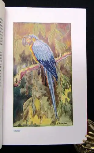 Hagen; Evers Brehms Tierleben 12 Bde 1928 Naturwissenschaften Biologie Tiere