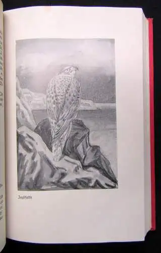 Hagen; Evers Brehms Tierleben 12 Bde 1928 Naturwissenschaften Biologie Tiere