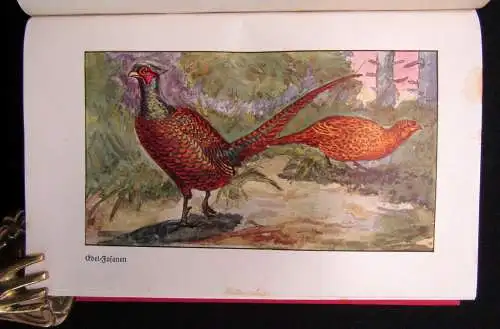 Hagen; Evers Brehms Tierleben 12 Bde 1928 Naturwissenschaften Biologie Tiere