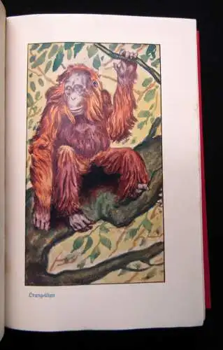 Hagen; Evers Brehms Tierleben 12 Bde 1928 Naturwissenschaften Biologie Tiere