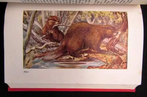 Hagen; Evers Brehms Tierleben 12 Bde 1928 Naturwissenschaften Biologie Tiere