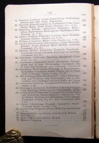 Neues Wanderbuch durch Sachsen Teil 1+2 komplett Sächs.Schweiz und Dresden 1879