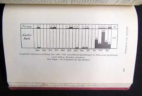 Friese Junk`s Natur-Führer Sächsische Schweiz 1925 Guide Ortskunde Landeskunde