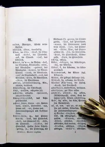 Müller Reuter-Lexikon Der Plattdeutsche Sprachschatz 1904 Lexika Wörterbuch