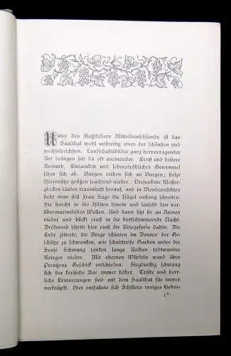 Trinius Durch´s Saalthal 1834 Geographie Landeskunde Ortskunde Führer Guide