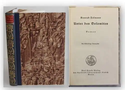 Telmann Unter den Dolomiten um 1925 Roman Klassiker dekorativer Ausgabe Einband