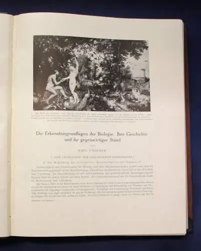 Bertalanffy Handbuch der Biologie, Allgemeine Biologie 1913 Band 1 & 7 js