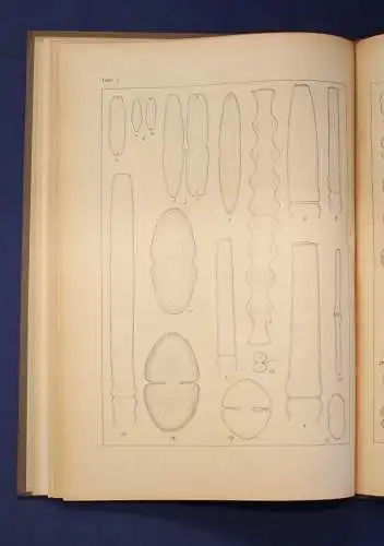 Migula Die Desmidiazeen um 1924, 7 Tafeln Ichthyologie, Gewässer, Meerestiere js