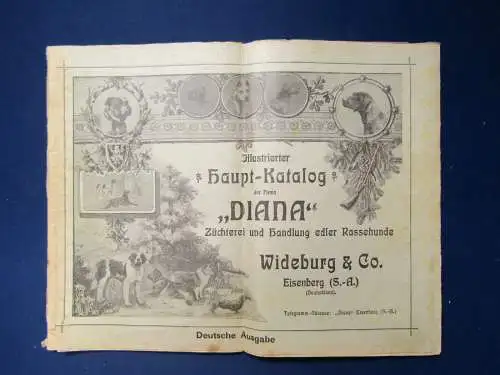 Original Illustrierter Haupt-Katalog der Hunderassen um 1920 Reklame sf