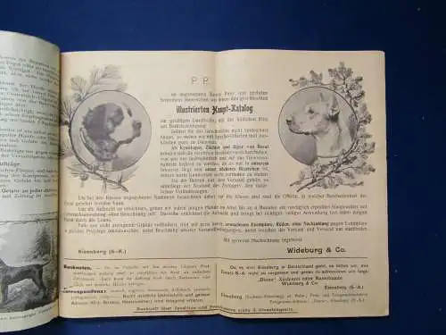 Original Illustrierter Haupt-Katalog der Hunderassen um 1920 Reklame sf