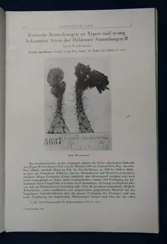 Kakteenkunde Lieferung 1-3 1940 Botanik Natur Forschung Phytologie Lehre js