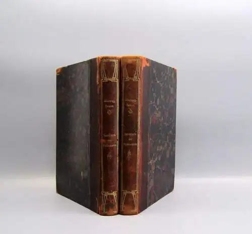 Ueberweg Heinze Geschichte der Philosophie 1896/1897 1. und 2. Bd des 3. Theils