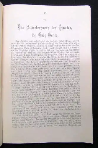 Bergmann Geschichte des Zschoner Grundes bis zur Ablösung aller Fronen 1902 Or.