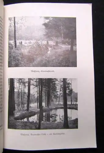 Störzner Was unsere Heimat erzählt 1.Teil Die Masseney in Sage und Geschichte