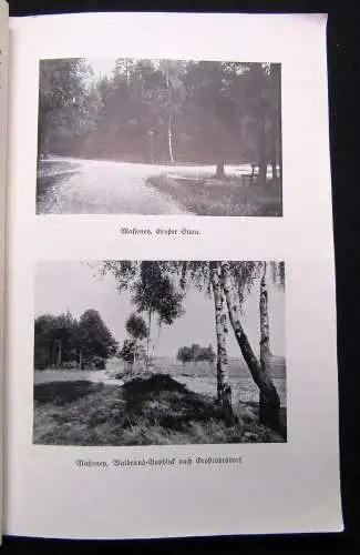 Störzner Was unsere Heimat erzählt 1.Teil Die Masseney in Sage und Geschichte