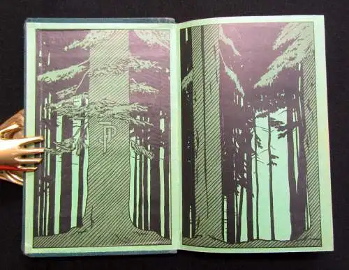 Perthes Neue Reise-Führer Friedrichroda und Umgebung 1904 Routenführer Guide