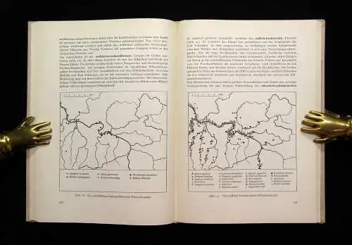 Engelmann Werte der deutschen Heimat Im Süden der Barbarine 1960 Or.SU Bd. 3