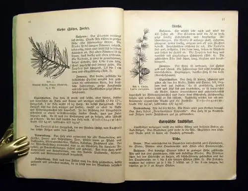 Wagner/Großmann Lehrbuch für Zimmerer 1 u. 2 Teil von Bd. 12 u. 13 1941 Technik