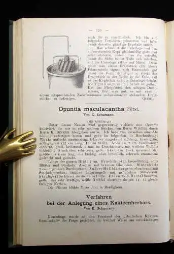 Schumann Arendt Monatsschrift für Kakteenkunde 1898 Achter Band Botanik
