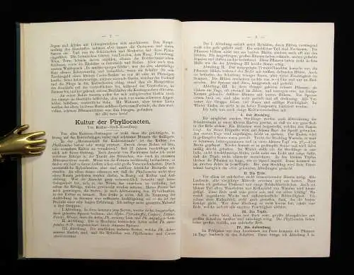 Schumann Arendt Monatsschrift für Kakteenkunde 1898 Achter Band Botanik