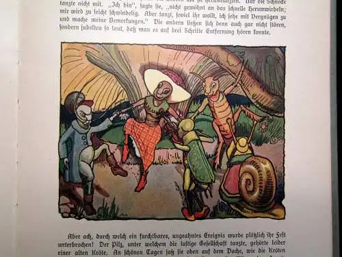 Rumdibum Ein lustiges Buch mit bunten Bildern von Rudolf Schoen Or.SU um 1918