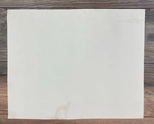 Feldbauer, Max ( 1869 Neumarkt- 1948 München) Lithographie 38,5 x 47,5 cm Pferd