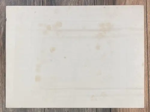 Seel, Adolf " Das innere eines Harems"  Photogravüre Bruckmann um 1880