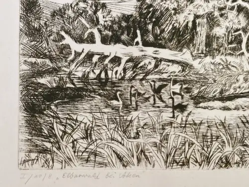 Dietzel, Theodor( 1926- 1014) "Elburwald bei Aken" Radierung Aufl.Nr.8 von 30