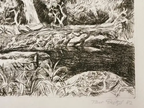 Dietzel, Theodor( 1926- 1014) "Elburwald bei Aken" Radierung Aufl.Nr.8 von 30