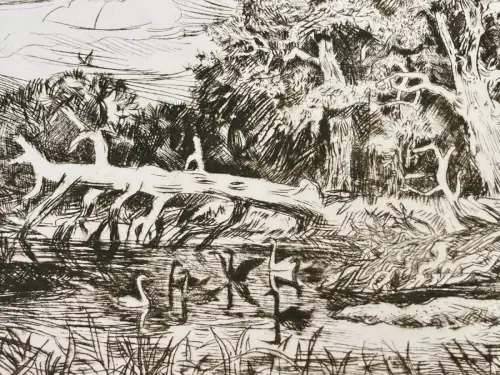 Dietzel, Theodor( 1926- 1014) "Elburwald bei Aken" Radierung Aufl.Nr.8 von 30