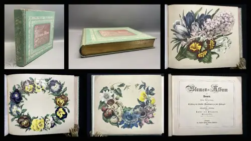 Blumen- Album für Damen 1865 8 Tafeln 19 Figuren im Text u 1 Skizze Garten Hobby
