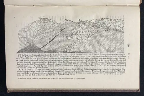 Scheerer Die Gneuse des Sächsischen Erzgebirges 1862 Gesteine Chemie Geologie