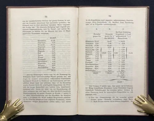 Scheerer Die Gneuse des Sächsischen Erzgebirges 1862 Gesteine Chemie Geologie