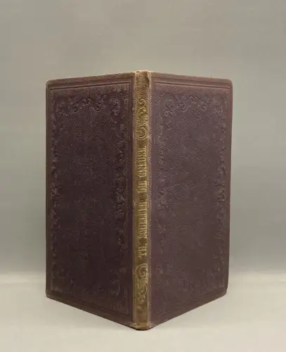 Scheerer Die Gneuse des Sächsischen Erzgebirges 1862 Gesteine Chemie Geologie