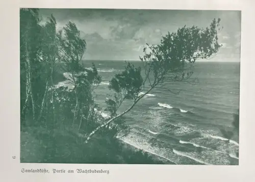 Heidenreich Georg Mein deutsches Ostpreußen Ein Hausschatz in Wort u. Bild EA 1