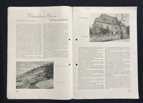 Severit Das Schöne Sachsen Der Lößnitz- Weinbau Heft 8 Jhg. 7 1937 Sachsen Natur