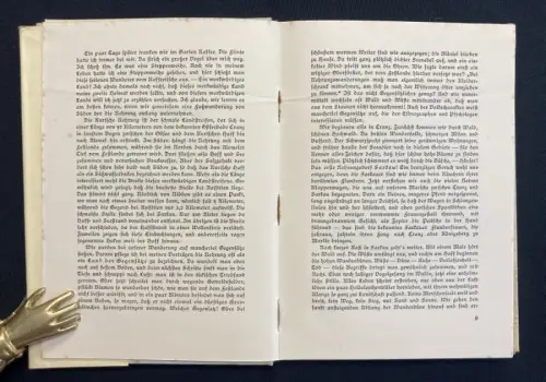 Thienemann ✝ Rossitten Drei Jahrzehnte auf der Kurischen Nehrung 40 Tafeln 1941