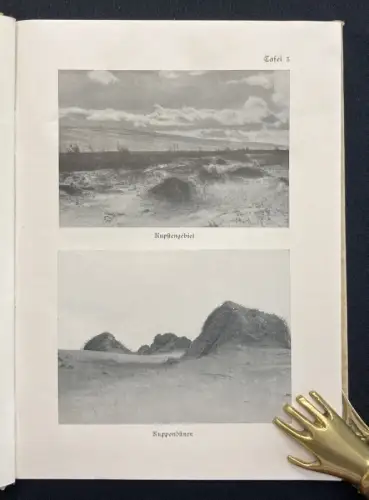 Thienemann ✝ Rossitten Drei Jahrzehnte auf der Kurischen Nehrung 40 Tafeln 1941