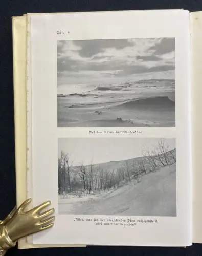 Thienemann ✝ Rossitten Drei Jahrzehnte auf der Kurischen Nehrung 40 Tafeln 1941