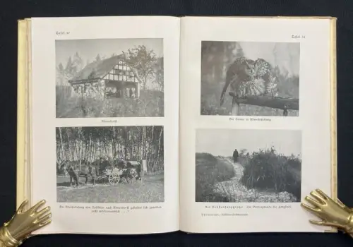 Thienemann ✝ Rossitten Drei Jahrzehnte auf der Kurischen Nehrung 40 Tafeln 1941