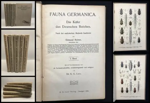 Reitter Edmund Fauna Germanica. Die Käfer des deutschen Reiches in 5 Bänden.