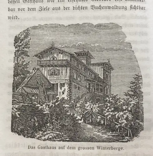 Der Berliner in der Sächsischen Schweiz Ein illustriertes Reise-Handbuch um 1860