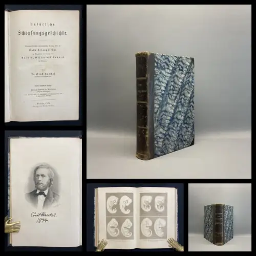 Haeckel, Ernst Dr. Natürliche Schöpfungsgeschichte 1874 Entwicklungslehre