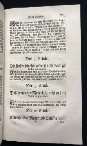 Raiser Fundgeschichte einer uralten Grabstäte bei Nordendorf  * selten * 1844
